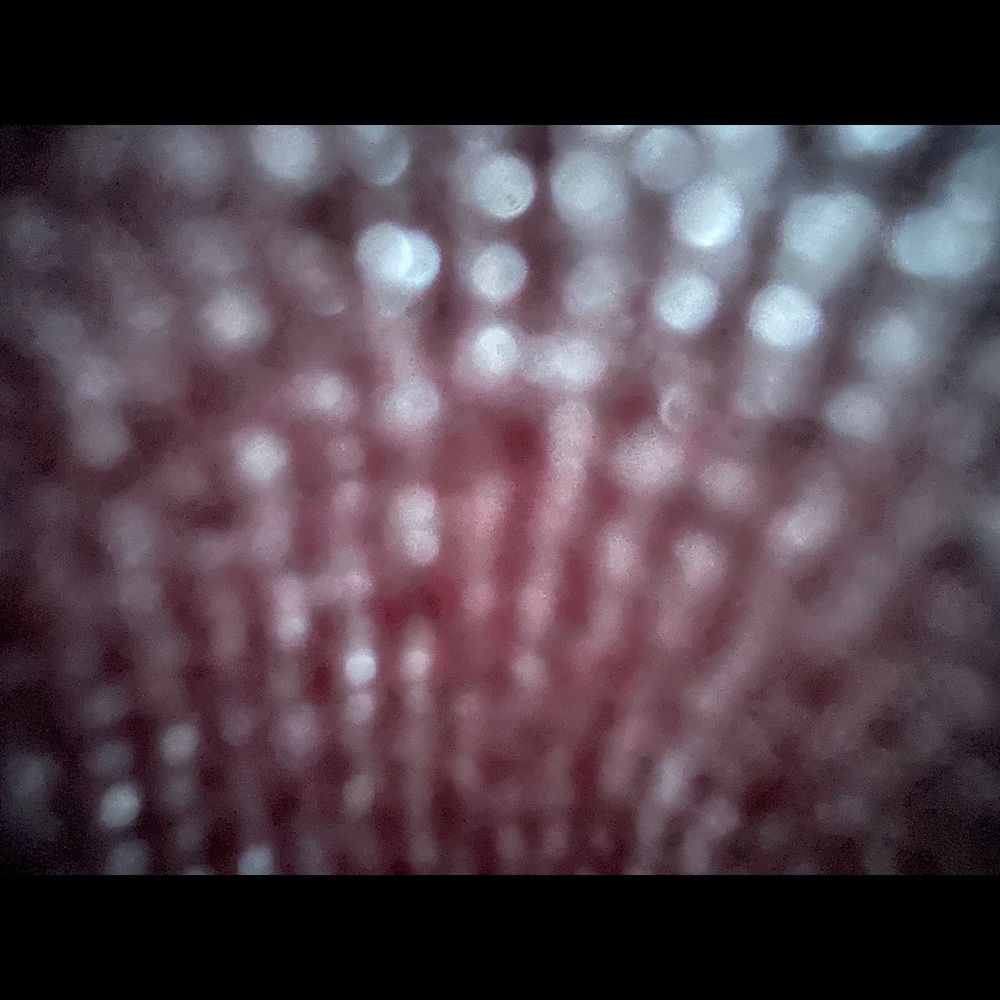 Meet your Posher, Sonia